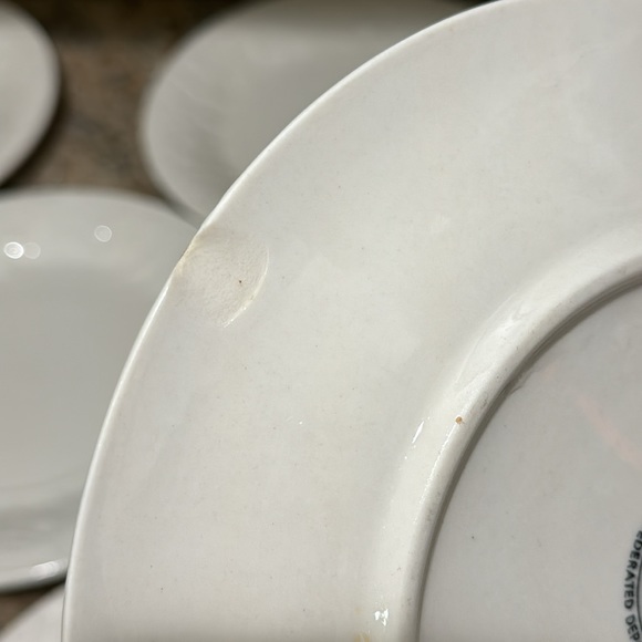 Tanglewood By CELLAR Plates (10 piece) - Picture 5 of 9